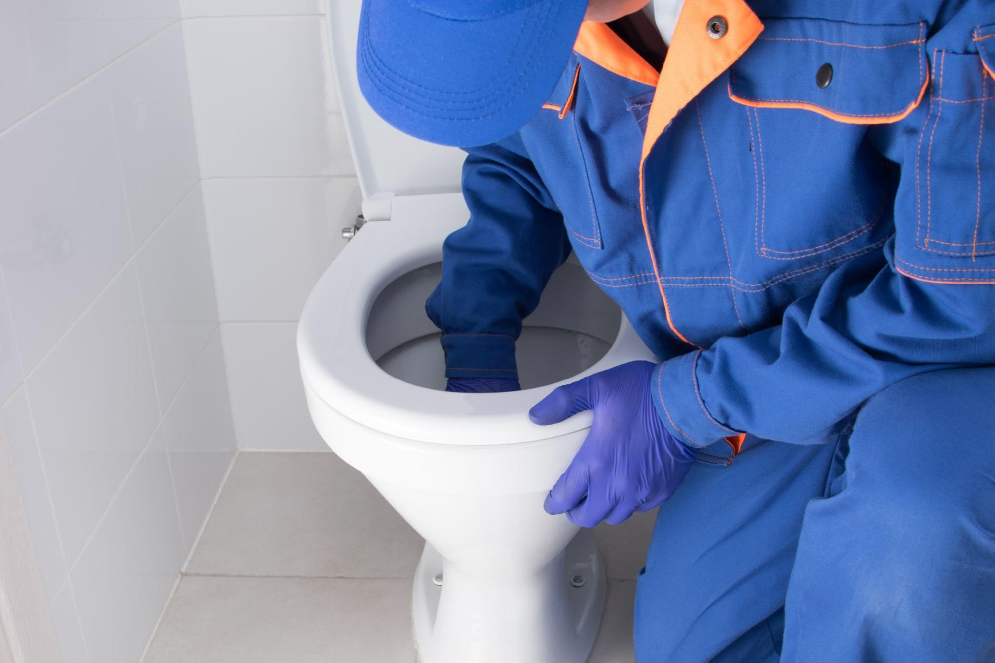plumber removing blockage from clogged toilet